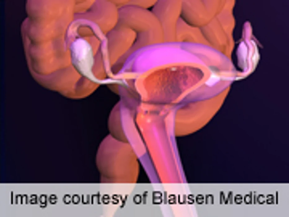 Review: BPA Is Reproductive Toxicant, Especially in Females