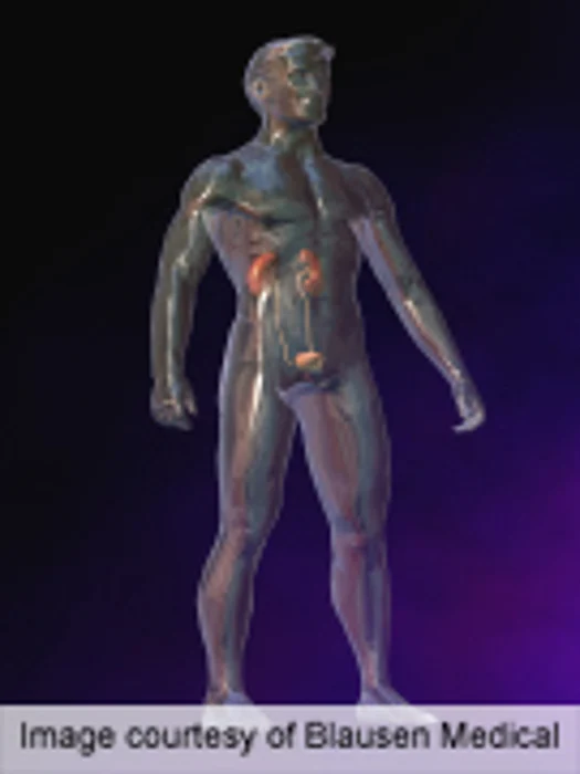 Testosterone Therapy Doesn't Worsen Urinary Symptoms