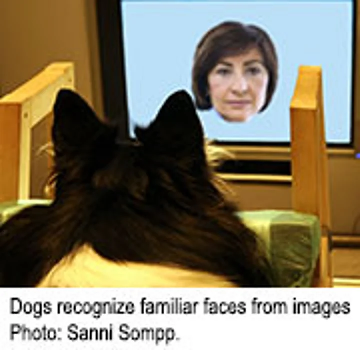 Fido Really Can Recognize Your Face
