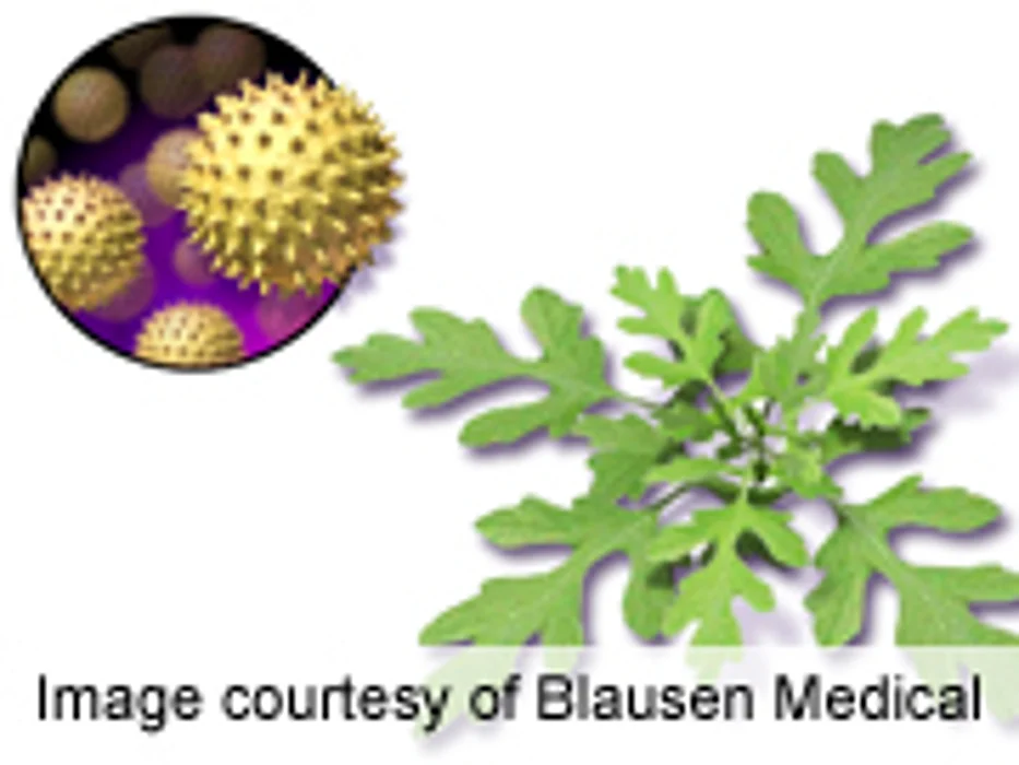 FDA Panel Considers First Pill for Ragweed Allergy
