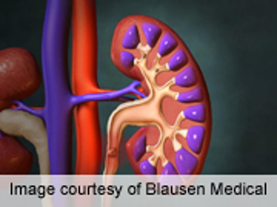 APHA: Acetaminophen + Light Alcohol Use Up Kidney Injury