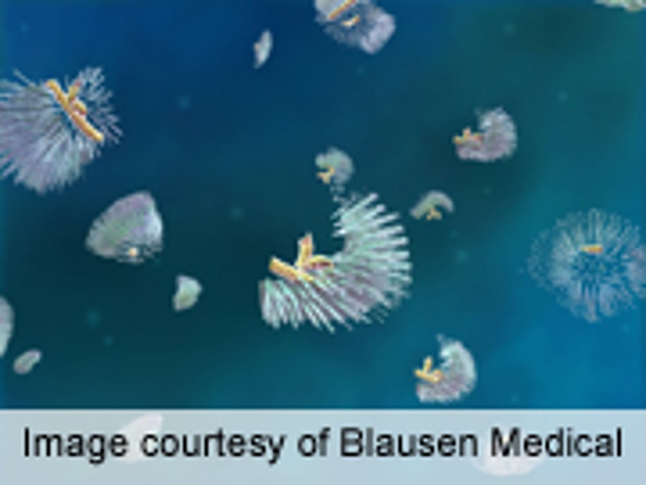 Impact of Rising Incidence of Measles Discussed