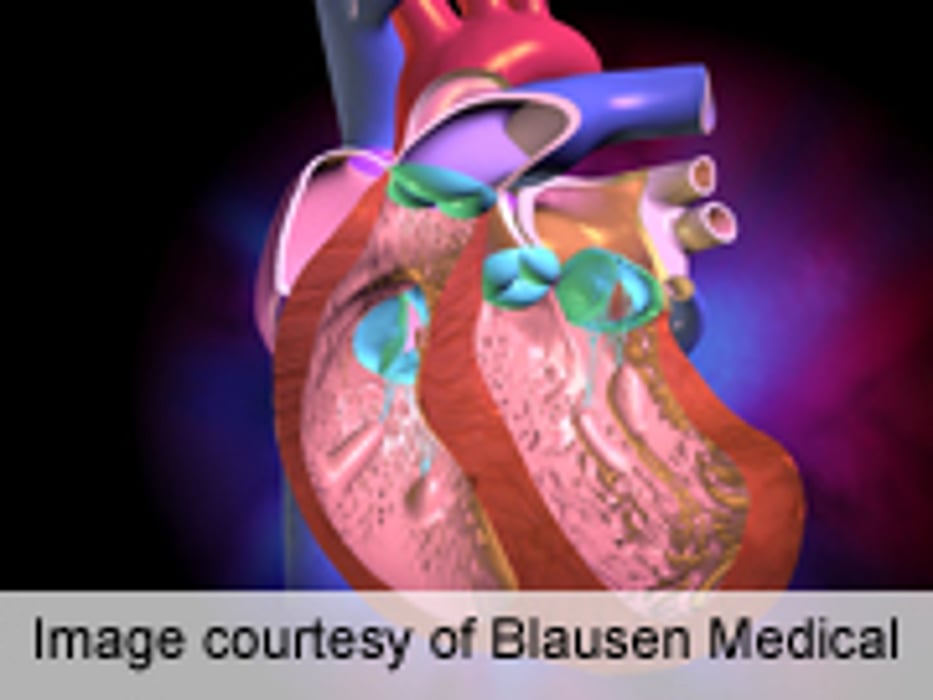 Menopausal Hormone Therapy Does Not Affect Atherosclerosis