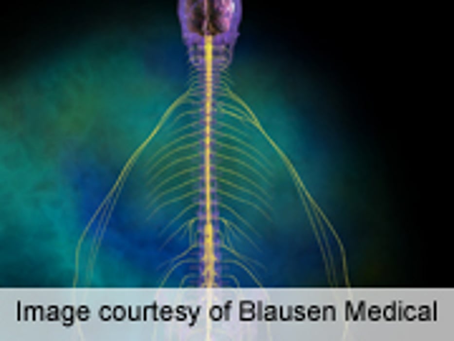 Breast Cancer Subtype Affects Survival With Spinal Metastasis