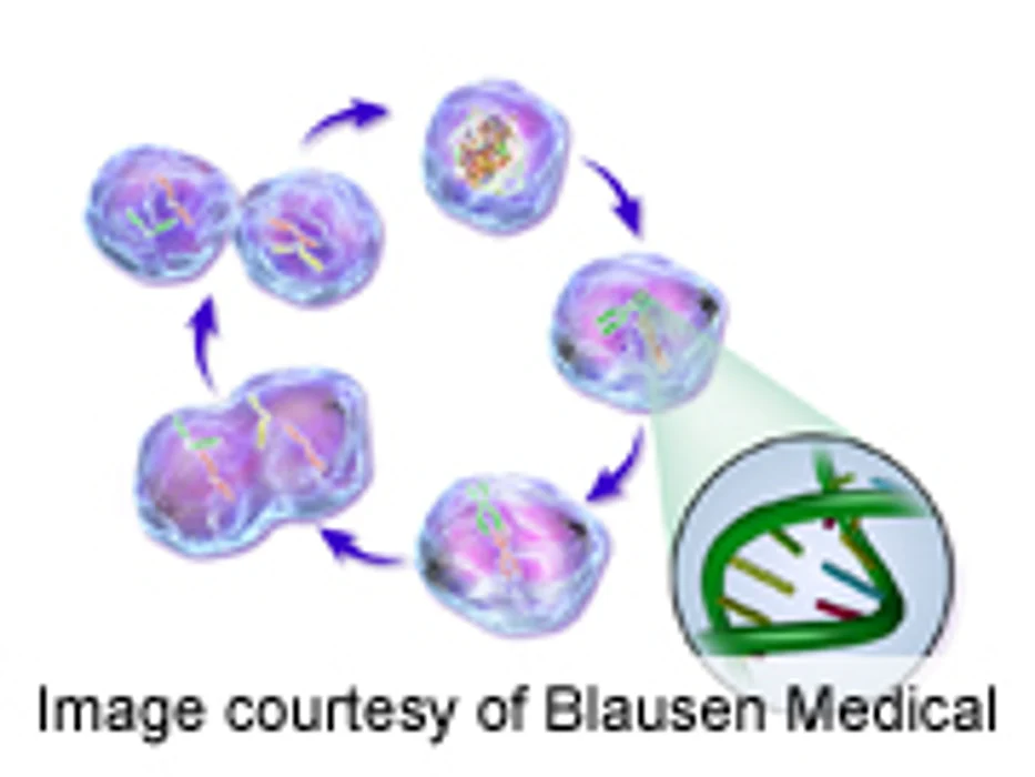 Immune Therapy Induces Remission for Many With ALL