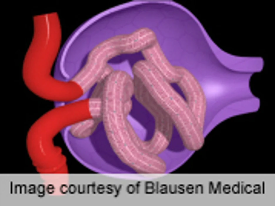 ASN: Levofloxacin Doesn't Halt Post-Transplant BK Viruria