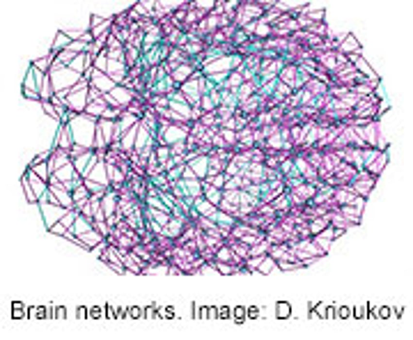 Human Brain Has Nearly Ideal Network of Connections, Research Shows