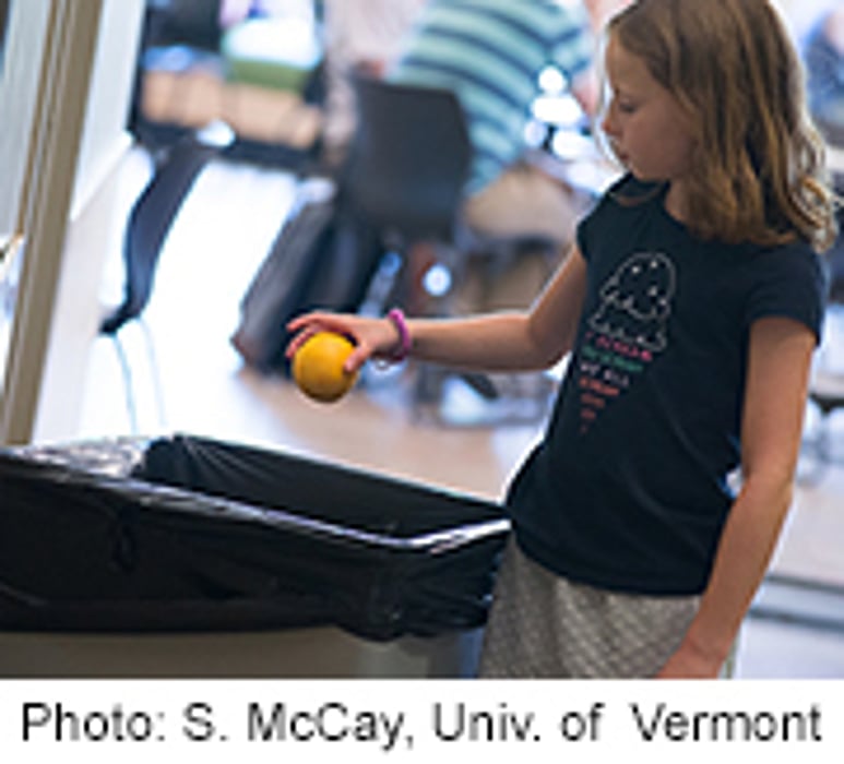 Many Kids Tossing Fruits Veggies in Trash Since New U.S. School Lunch Rules