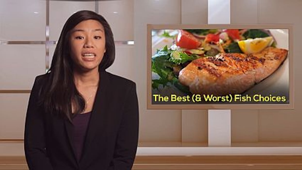 The Best (and Worst) Fish Choices