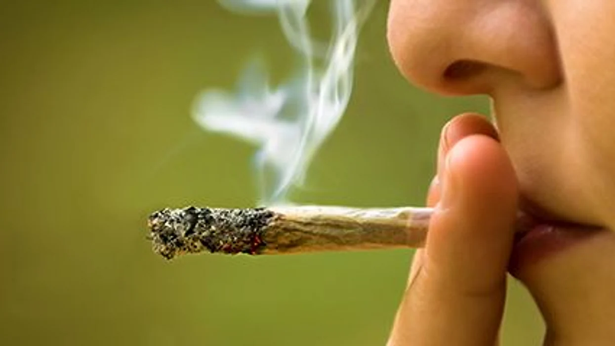 El uso de la marihuana entre los adultos