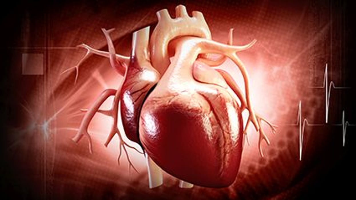 La salud del corazón y la longevidad