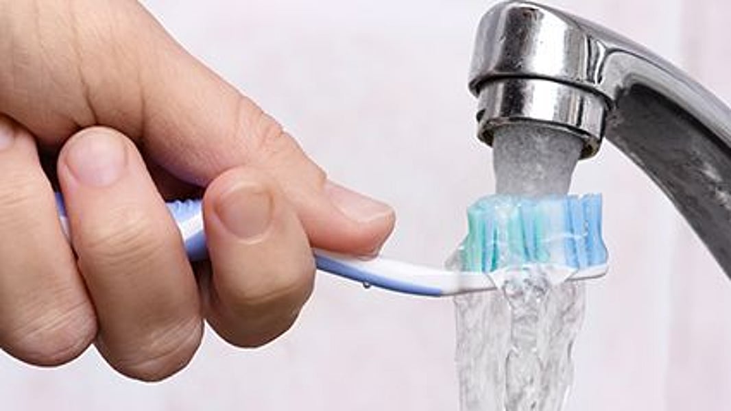 Germs Trapped in Your Toothbrush Consumer Health News HealthDay