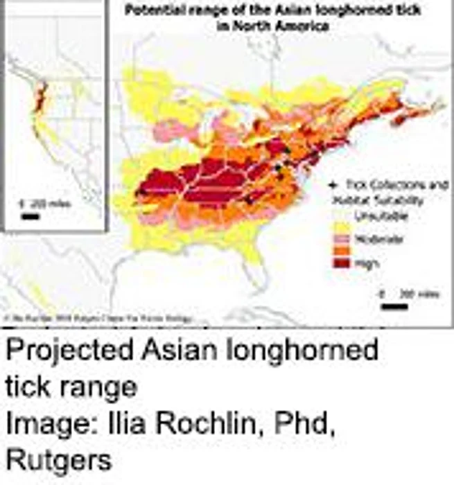New Disease-Bearing Tick Set to Spread Throughout United States