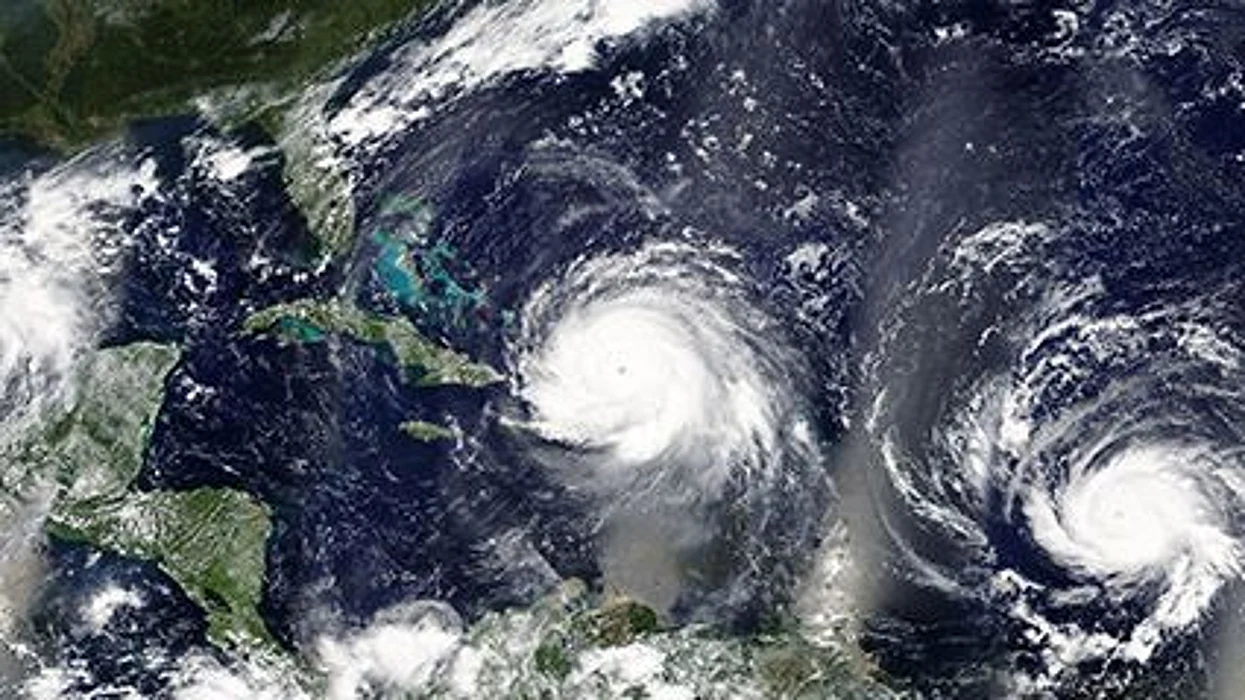 Más de 11,000 científicos en 153 países declaran una emergencia climática