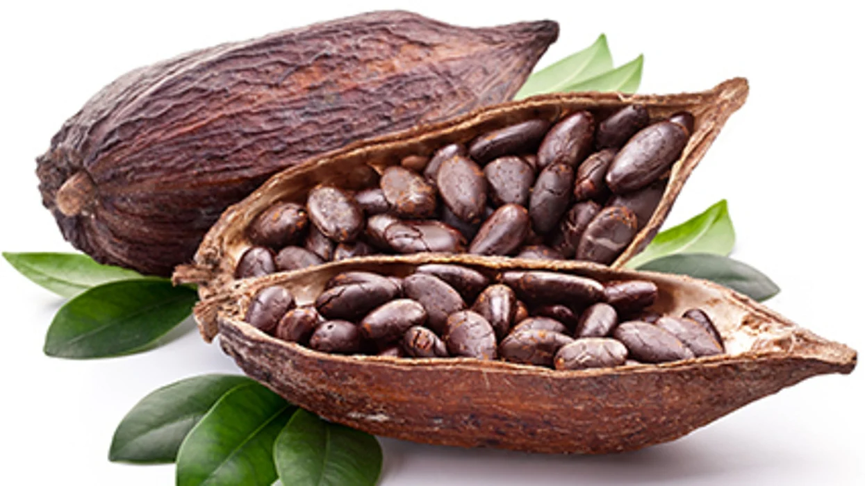¿Podría el cacao estimular a tu cerebro?