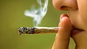 Pot May Not Be The Best Medicine For Migraine
