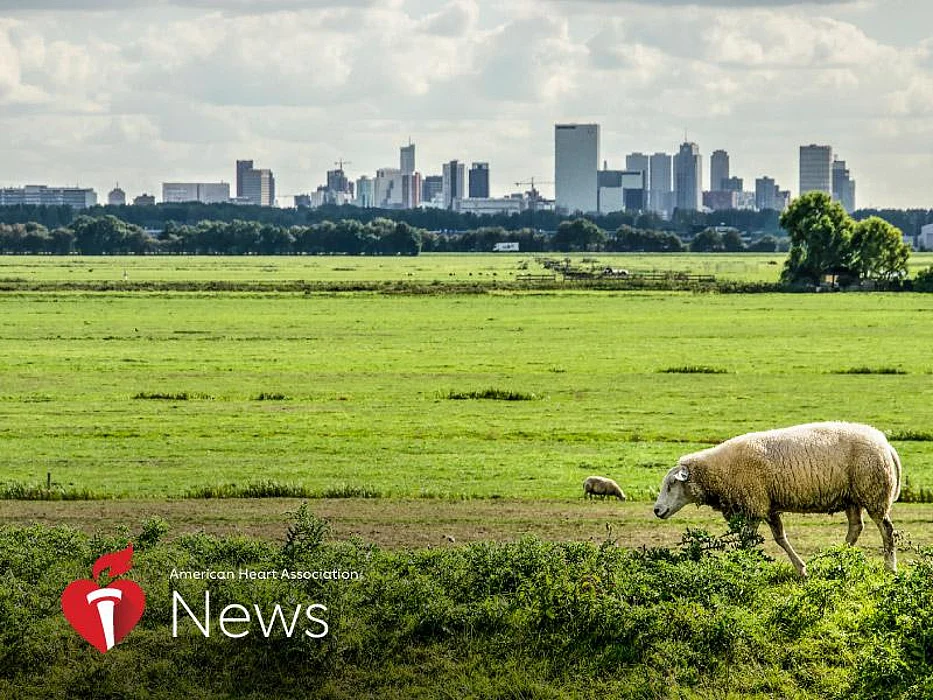 AHA News: Stroke Deaths Rise in Rural Areas, Hold Steady in Cities
