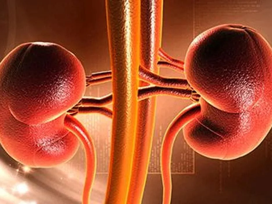 心血管死を減らすにはCKDを減らす必要あり――特定健診データの解析
