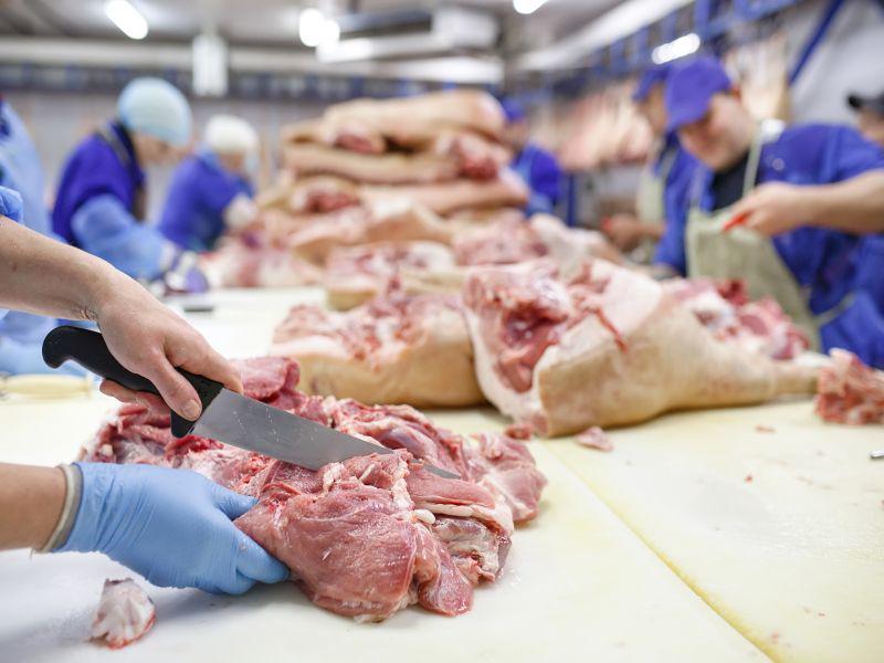 Meatpacking Plants Accounted for 334,000 U.S. COVID Cases: Study