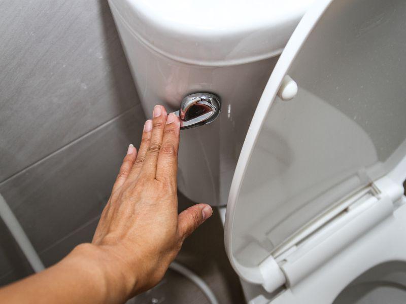Don't Linger: 'Aerosolized Droplets' Hang in the Air After Toilet Flush