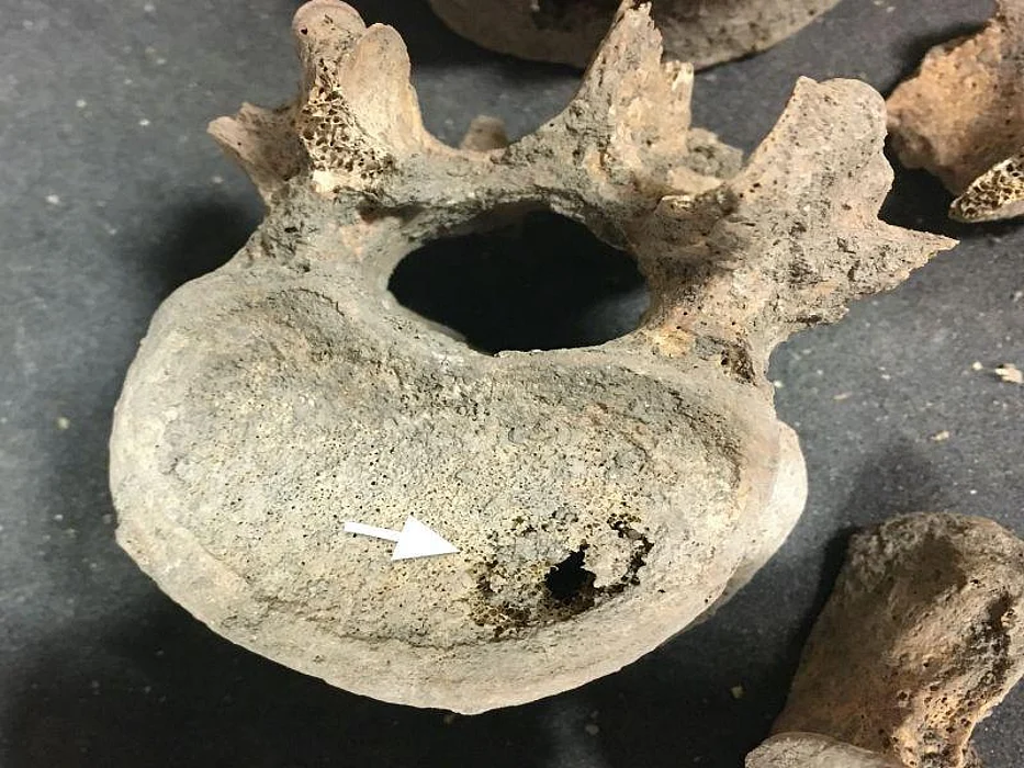 medieval bone