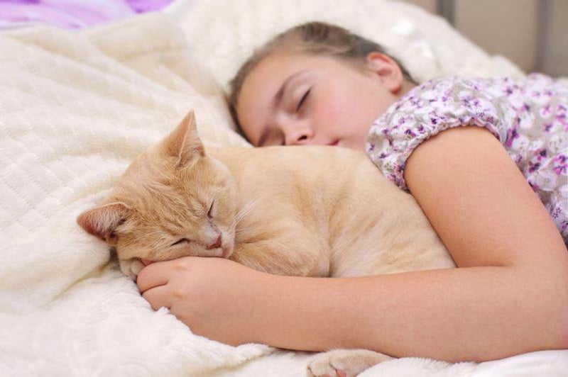 Bedtime With a Pet Won't Harm Your Kid's Sleep - and Might Help