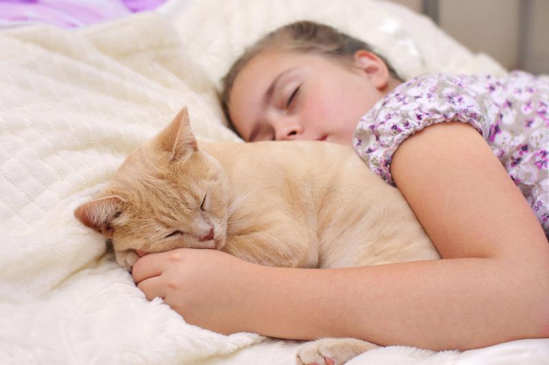 Getting Your School-Age Child Into a Healthy Sleep Routine