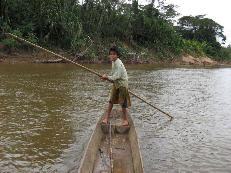 Amazon Tribe Could Hold Key to Health of Aging Brains