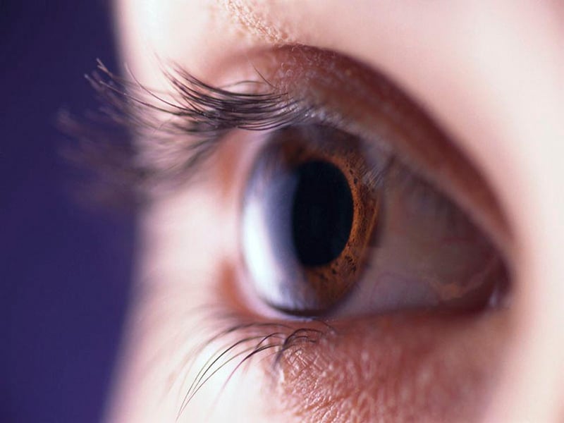 News Picture: Some Patients With Macular Degeneration Could Stop Monthly Eye Injections