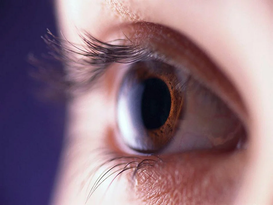 eye