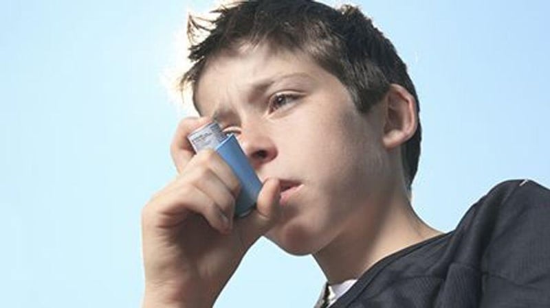Allergy Treatment Crucial If Your Child Has Asthma