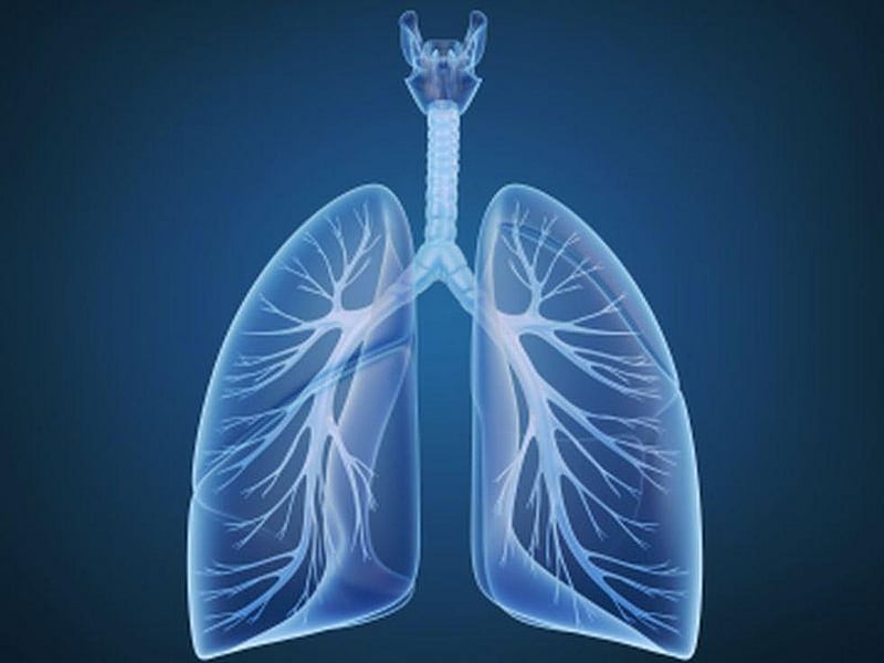 Progress on Lung Cancer Drives Overall Decline in U.S. Cancer Deaths