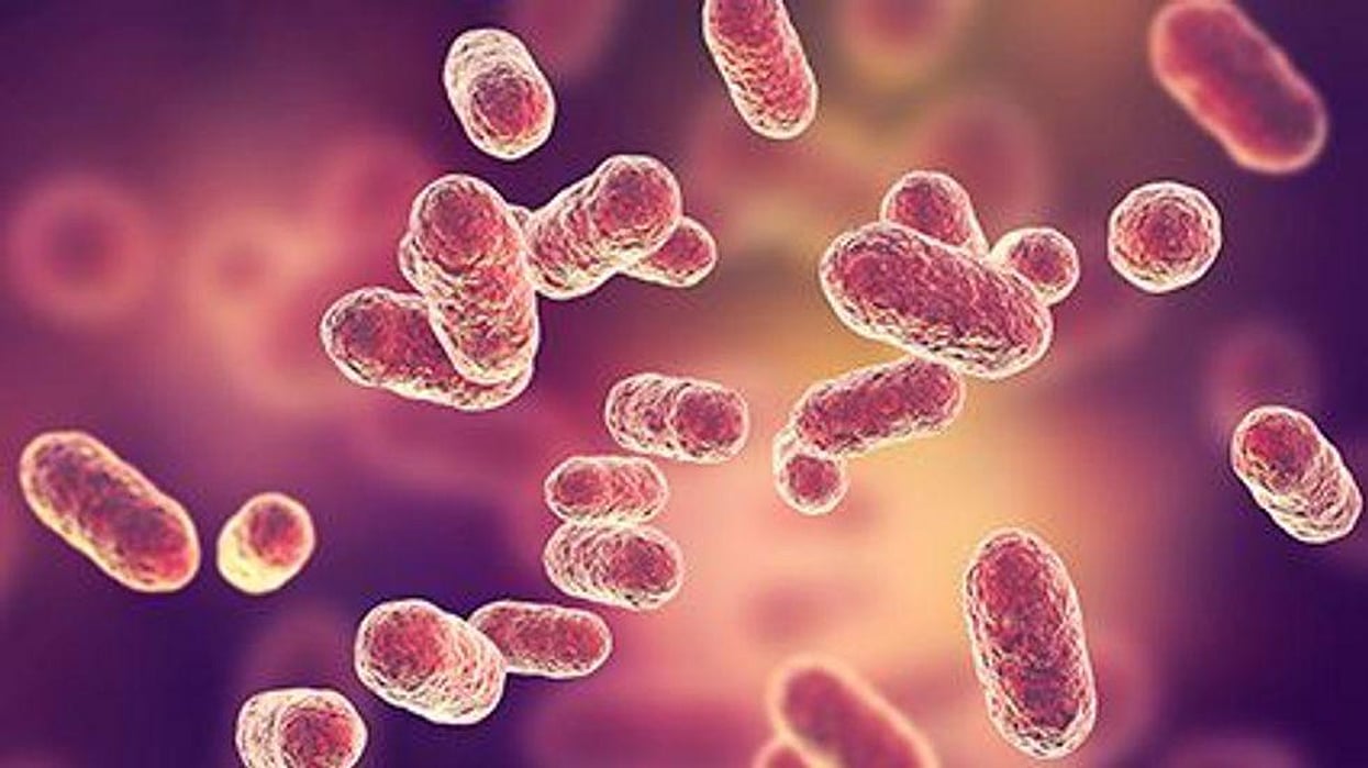 Salmonella Outbreak Linked to Raw Frozen Breaded Chicken Products: CDC - Consumer Health News | HealthDay