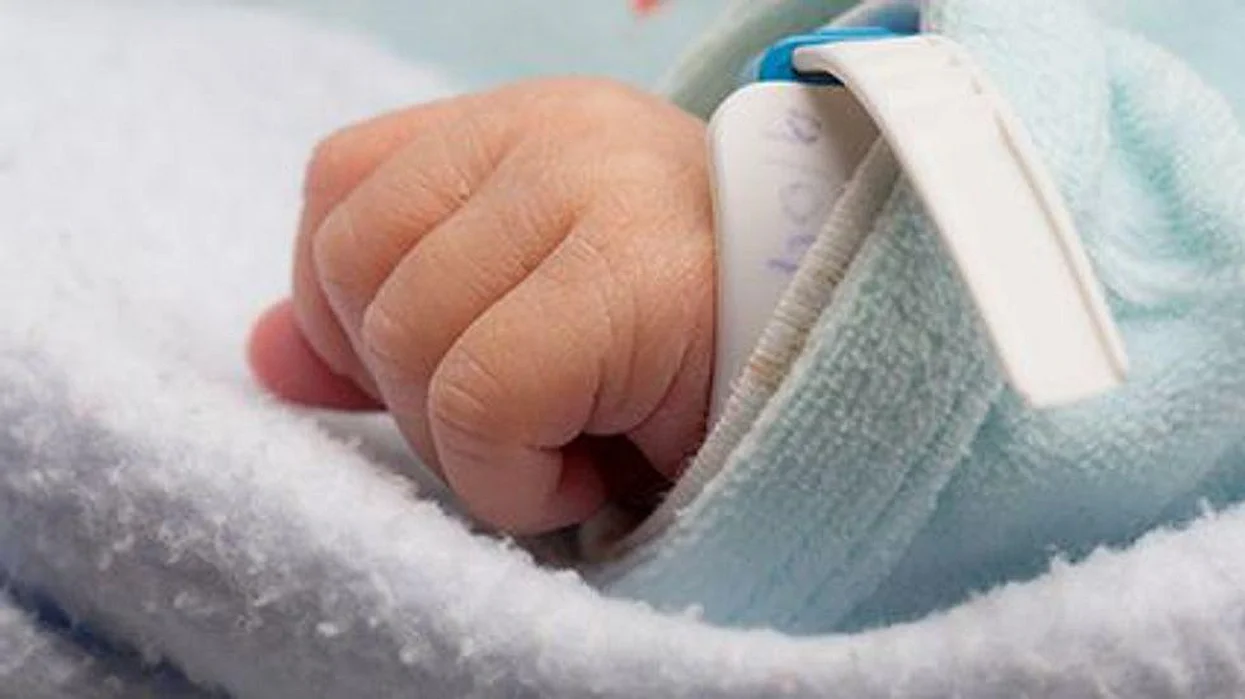 baby infant hand