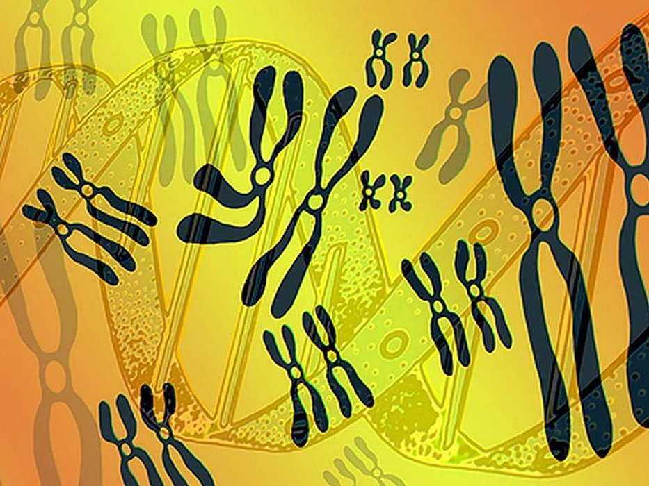 genetic helix