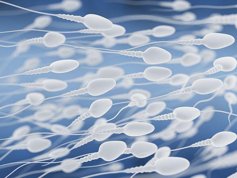 News Picture: Sperm Counts Rebound When Obese Men Shed Pounds