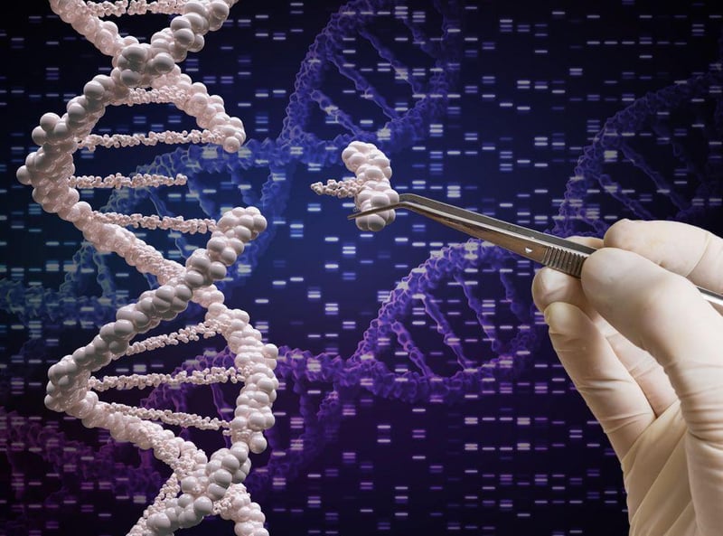Job Done: Scientists Fill in Missing Gaps to Complete Map of Human Genome