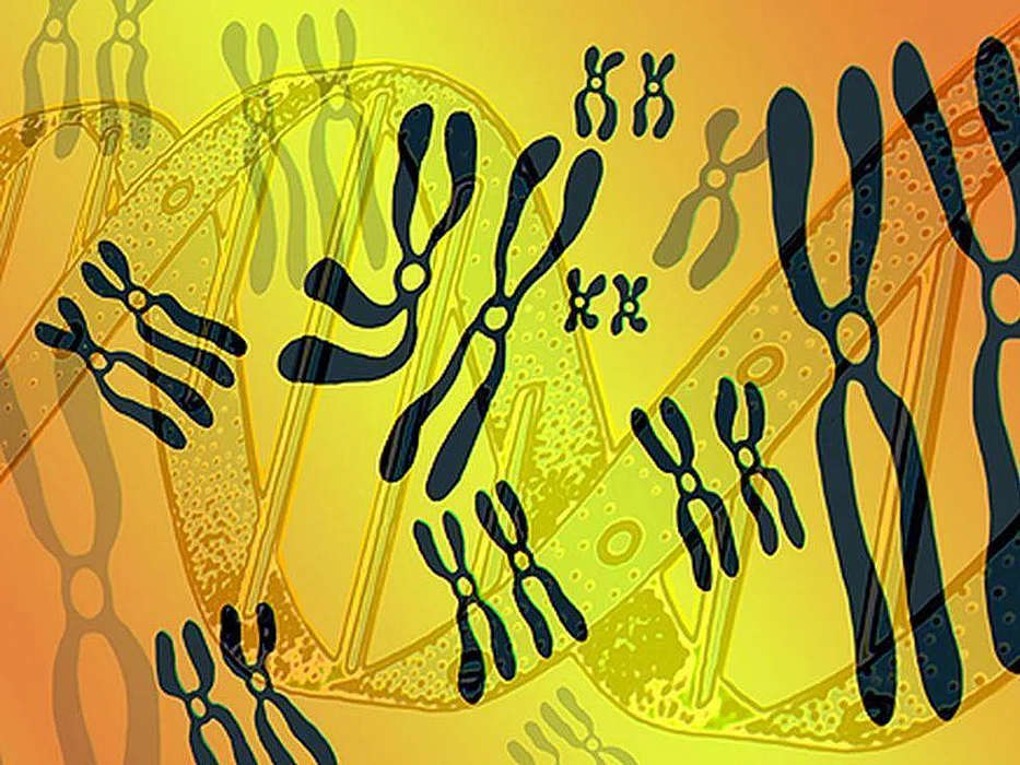 genetic helix