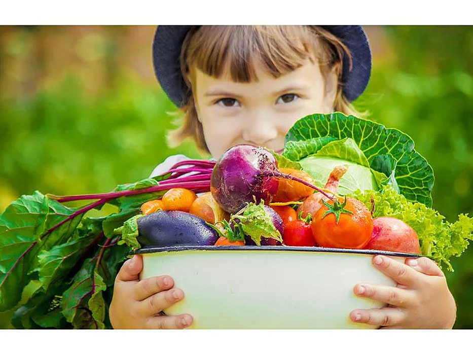 Organic Fruits and Vegetables