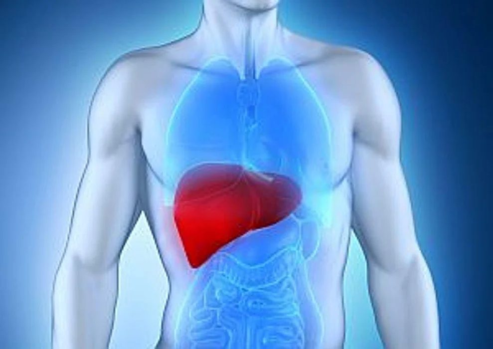 human liver
