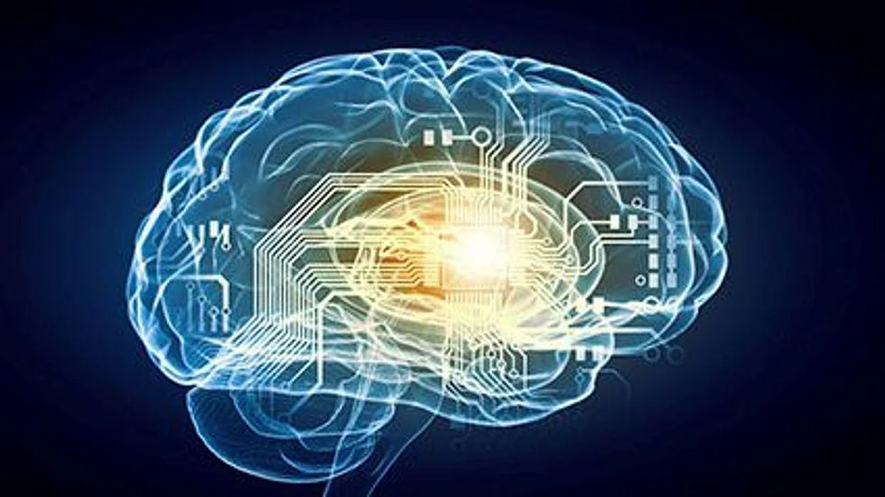 brain