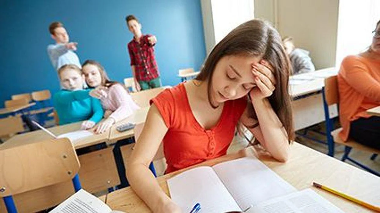 school bullying