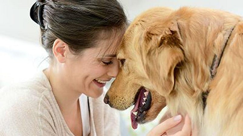 Pets Help Their Humans De-Stress, Stay Fit: Survey