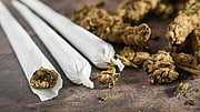 ¿Podría un uso empedernido de la marihuana ser responsable de un aumento en los casos de esquizofrenia?