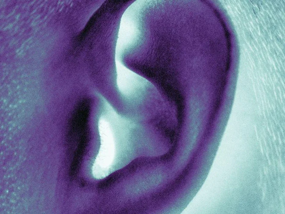 ear