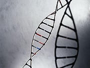 Le risque génétique de troubles psychiatriques est...