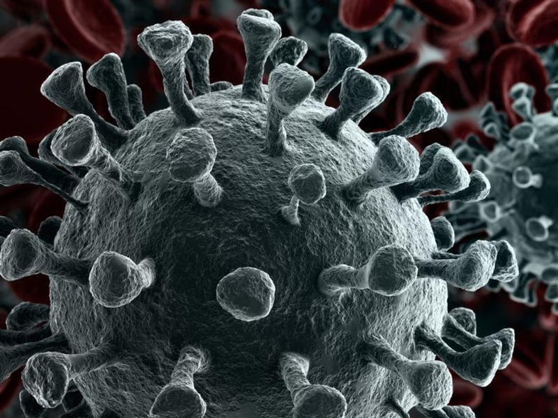 Search for Coronavirus Origins at Standstill: WHO Team