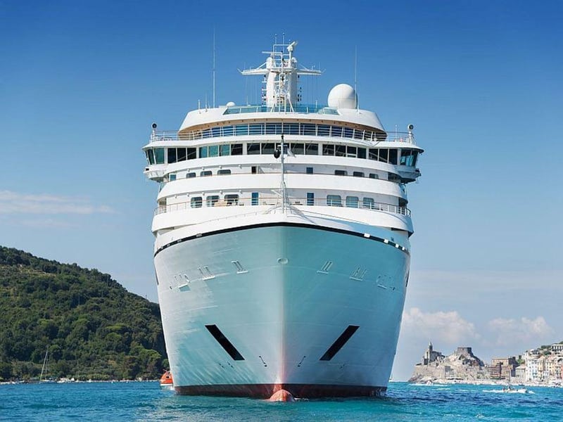 Coronavirus Outbreak on Carnival Cruise Ship