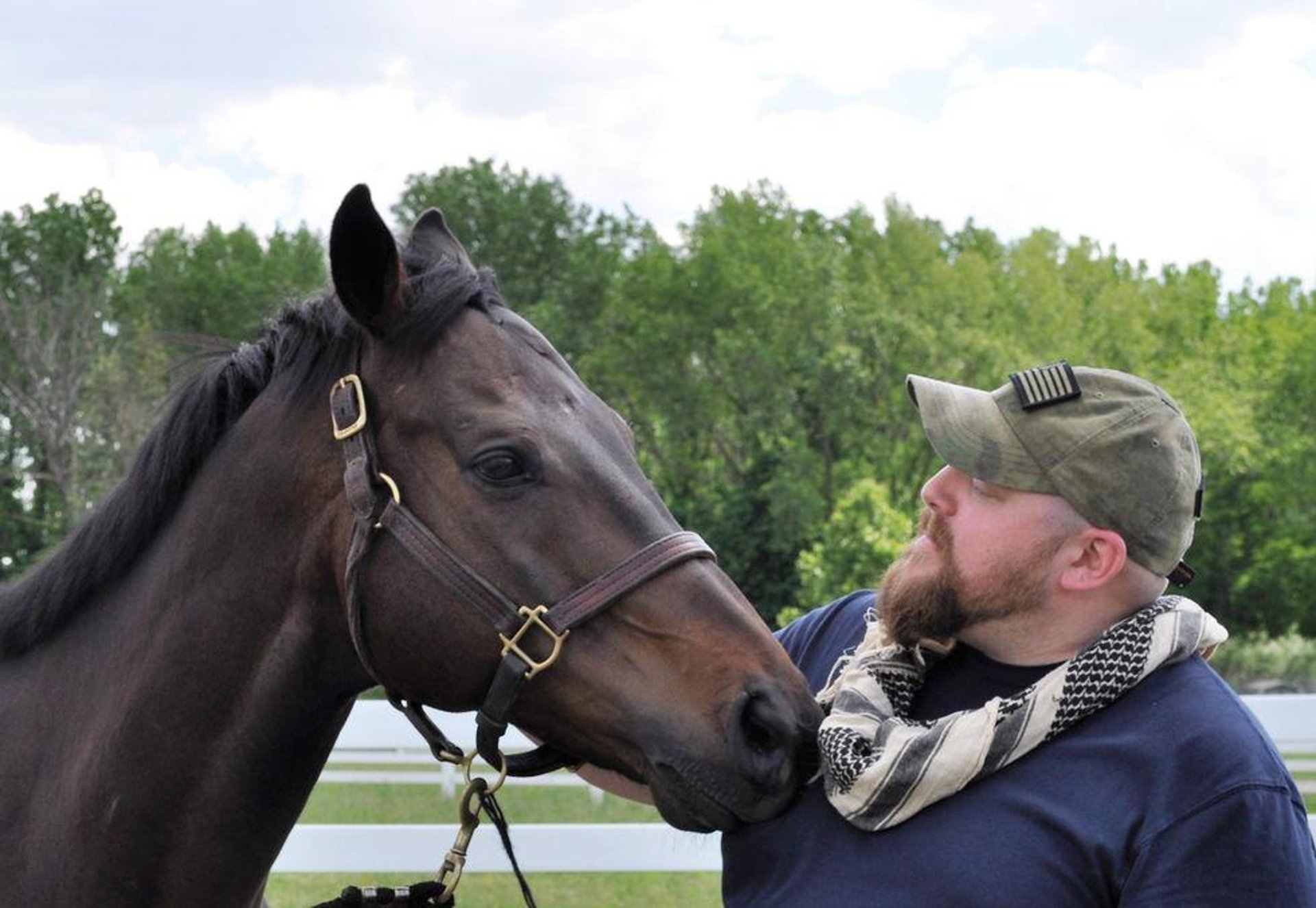 News Picture: Equine Therapy: Horses Help Veterans Struggling With PTSD