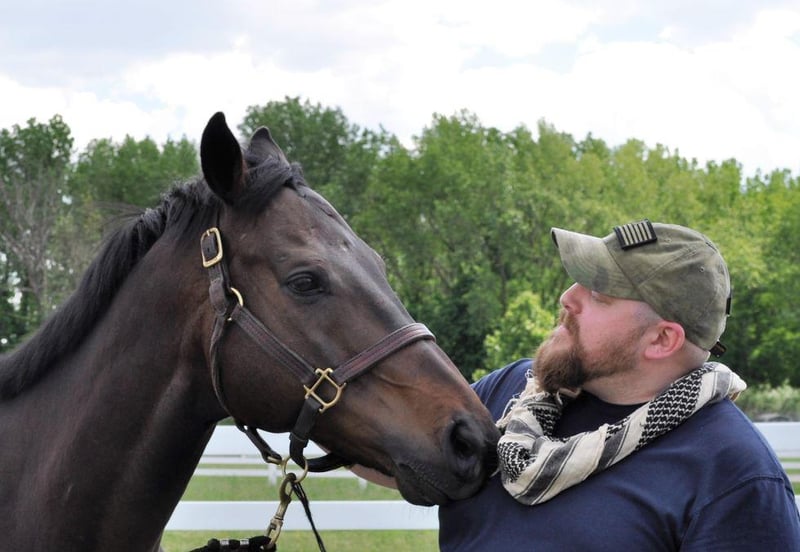 Equine Therapy: Horses Help Veterans Struggling With PTSD